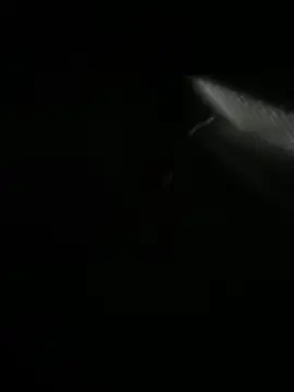 Jordan Blanco online show from 03-30-26, 11:11