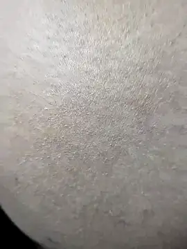 Romantic-Couple999 online show from 04-07-26, 06:26