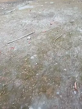 Snapshot of andresj22hot chatting on 04-07-26, 11:45 andresj22hot online show from 04-07-26, 11:45