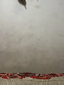 dominick fran online show from 03-10-26, 11:31