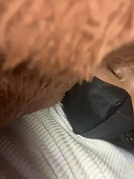 Violin xue online show from 02-14-26, 11:32