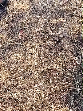 babu bull online show from 02-13-26, 02:33