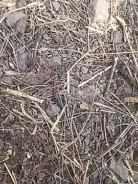 Cute Boy 4 online show from 03-19-26, 07:41