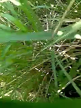 Cute Boy 4 online show from 04-25-26, 04:04