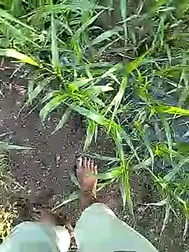 Cute Boy 4 online show from 04-06-26, 02:40