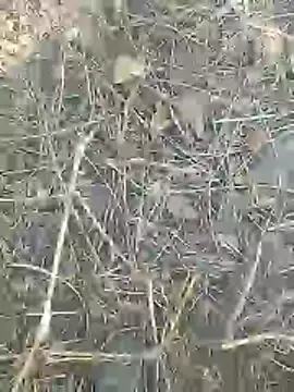 Cute Boy 4 online show from 03-09-26, 08:40