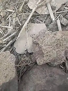 Snapshot of Cute_Boy_4 chatting on 02-18-26, 07:39 Cute Boy 4 online show from 02-18-26, 07:39