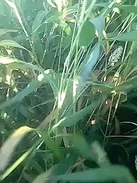 Snapshot of Cute_Boy_4 chatting on 02-27-26, 02:45 Cute Boy 4 online show from 02-27-26, 02:45