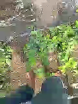 Cute Boy 4 online show from 07-16-26, 04:31