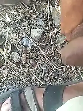 Cute Boy 4 online show from 03-18-26, 07:00