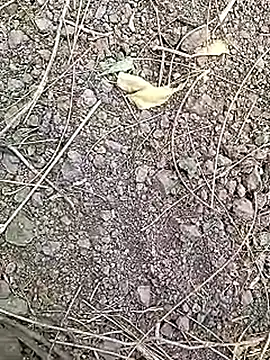 Cute Boy 4 online show from 04-07-26, 07:32