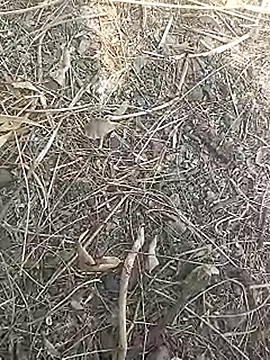 Cute Boy 4 online show from 03-16-26, 07:45