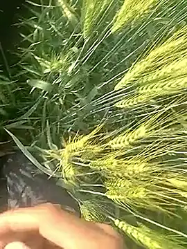 Snapshot of Cute_Boy_4 chatting on 02-10-26, 03:27 Cute Boy 4 online show from 02-10-26, 03:27