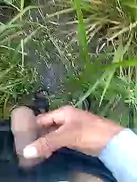 Cute Boy 4 online show from 04-11-26, 02:41