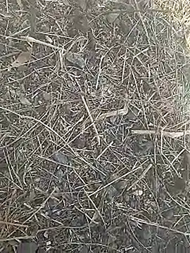 Cute Boy 4 online show from 03-08-26, 07:44