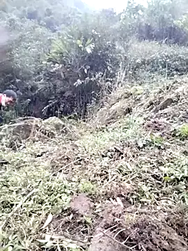 Tina-beo online show from 03-13-26, 01:10