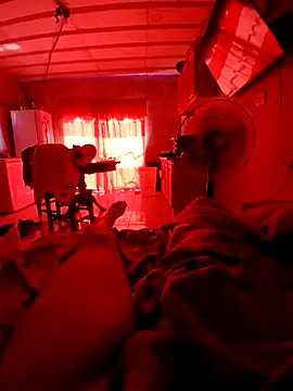 Snapshot of elvergon23139 chatting on 02-08-26, 02:15 elvergon23139 online show from 02-08-26, 02:15