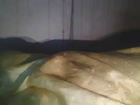 Prikev38452 online show from 04-11-26, 07:45