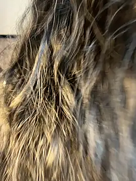 Denise wolfe21 online show from 02-19-26, 07:44