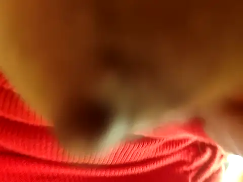 Brissperu18 online show from 02-12-26, 09:09