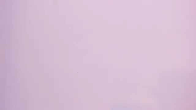 Paris Velvet online show from 05-16-26, 10:31