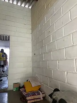 jeyko jey online show from 02-26-26, 08:20