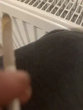 Diggaoder online show from 04-23-26, 03:35
