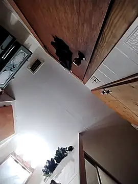 chad23162 online show from 02-13-26, 04:51