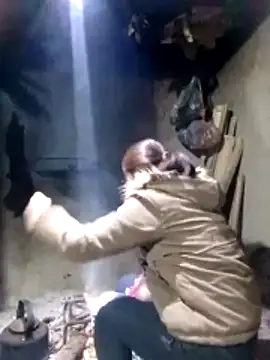 maimai1100 online show from 02-03-26, 12:43