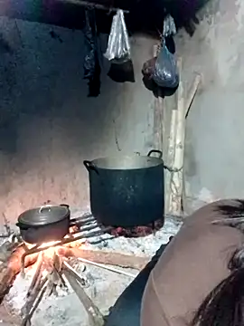 maimai1100 online show from 03-27-26, 09:49