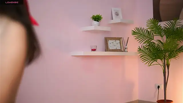 JullyFox online show from 05-03-26, 10:42