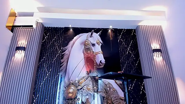 the knights of the night online show from 02-28-26, 06:40