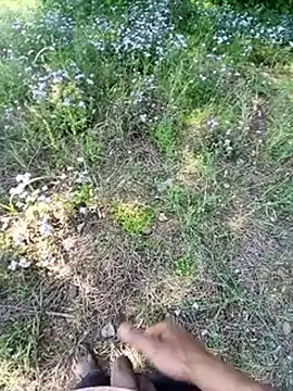 Sharmasamba online show from 03-25-26, 05:29