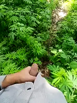 Sharmasamba online show from 03-24-26, 06:13