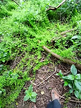 Sharmasamba online show from 04-03-26, 04:41