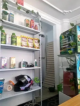 Tatianna Loove  online show from 03-14-26, 02:56