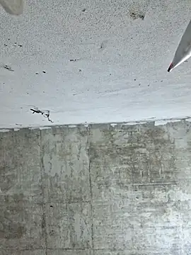 Mey mey2k3 online show from 03-02-26, 02:23