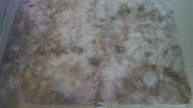 Ladyy brownn online show from 03-19-26, 11:32