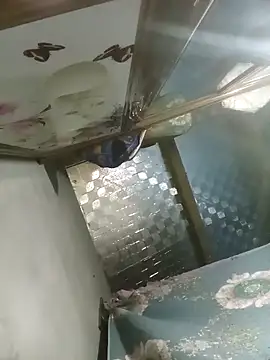 Dunk-namic online show from 04-14-26, 03:17