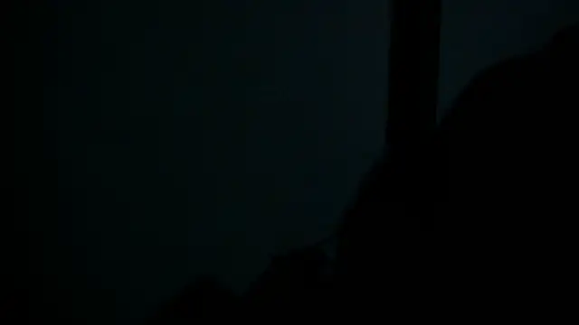 SussyFox online show from 03-08-26, 02:31