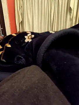 rubitrides11 online show from 02-11-26, 07:47