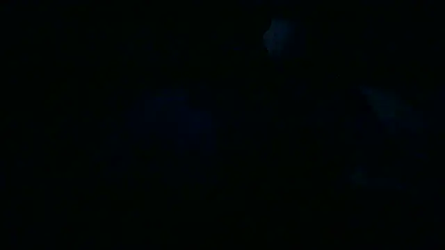 Luanatrav1 online show from 03-19-26, 09:31