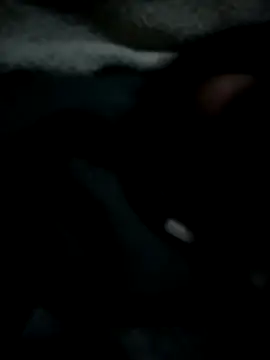 Snapshot of Ben10xblack chatting on 05-11-26, 01:29 Ben10xblack online show from 05-11-26, 01:29