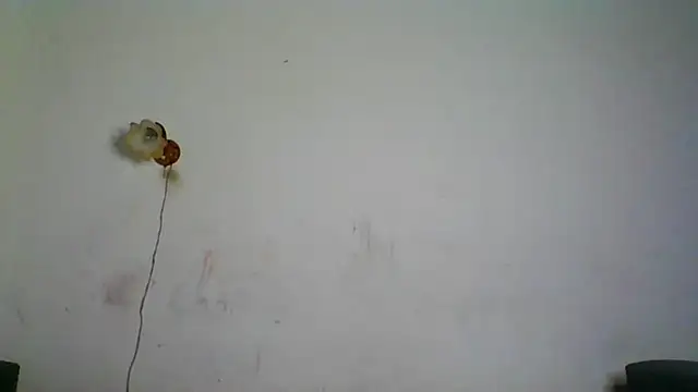 Snapshot of NickiKisinger chatting on 02-07-26, 05:26 NickiKisinger online show from 02-07-26, 05:26