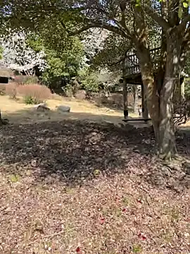 K0U-123 online show from 04-03-26, 12:39