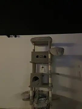 Just-Lilly online show from 03-10-26, 12:14