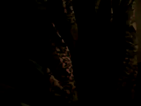 flakita38 online show from 06-15-26, 11:48