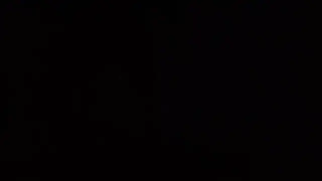 aqualilly online show from 02-17-26, 10:07