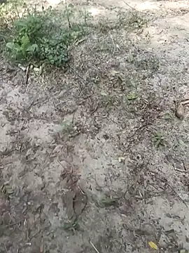 Snapshot of kalai_32 chatting on 02-03-26, 06:33 kalai 32 online show from 02-03-26, 06:33