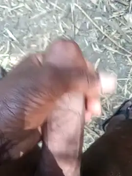 Snapshot of kalai_32 chatting on 02-17-26, 06:11 kalai 32 online show from 02-17-26, 06:11